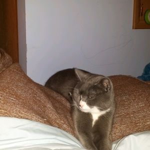 Meet your Posher, Jenny